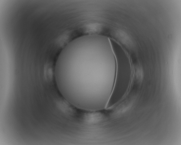 X0000114420716200910231206