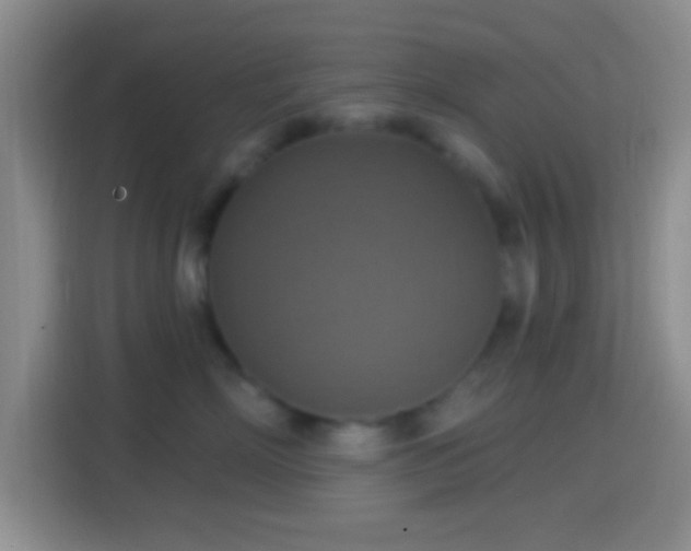 X0000114420718200910231206