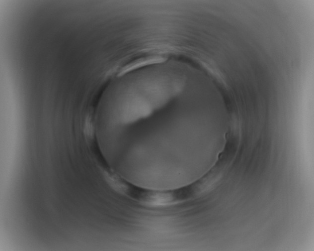 X0000114420719200910231206
