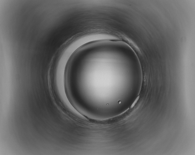X0000114420722200910231205