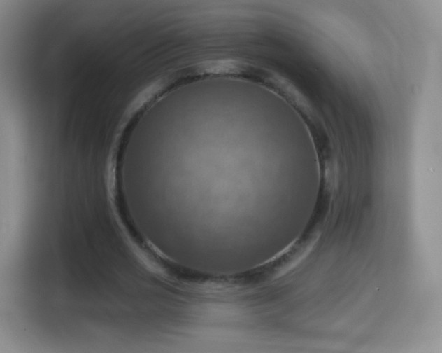 X0000114420725200910231206