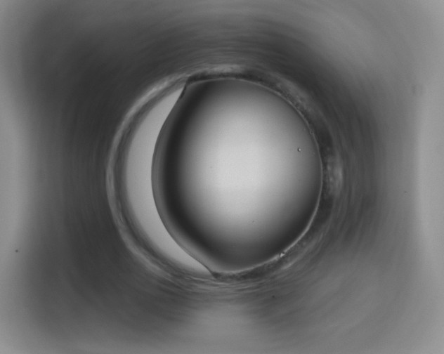 X0000114420726200910231206
