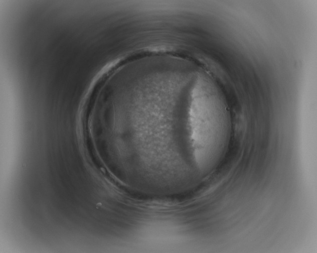 X0000114420727200910231206