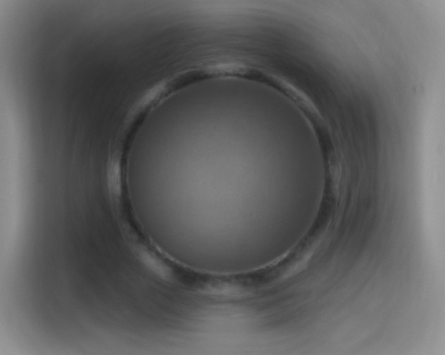X0000114420729200910231206