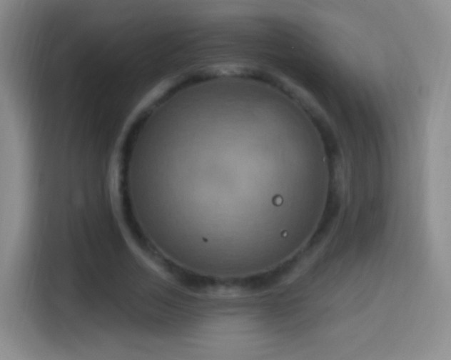 X0000114420730200910231206