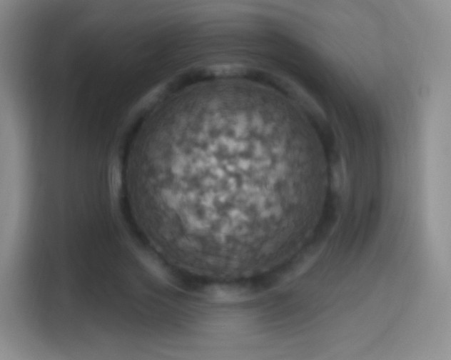 X0000114420733200910231206