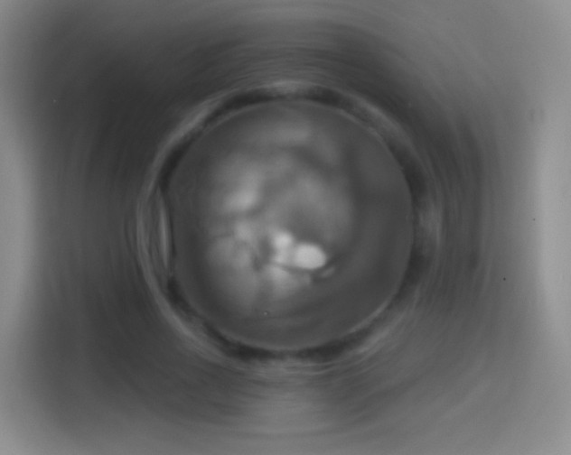 X0000114420734200910231206