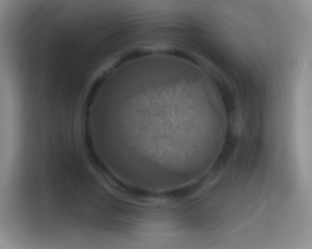 X0000114420735200910231206