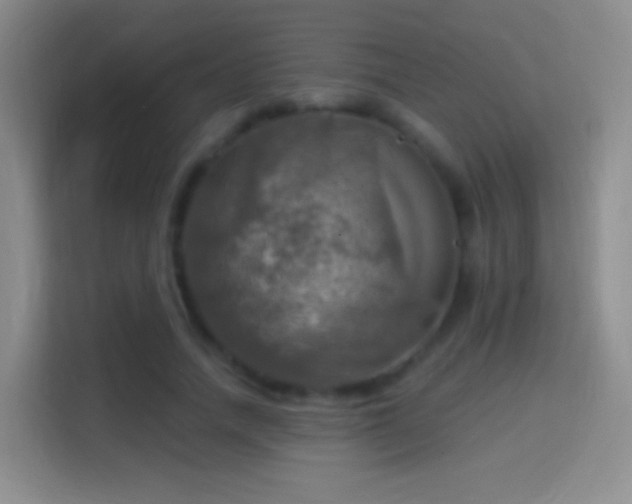 X0000114420738200910231206