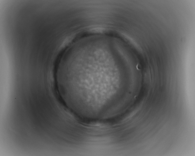 X0000114420739200910231206