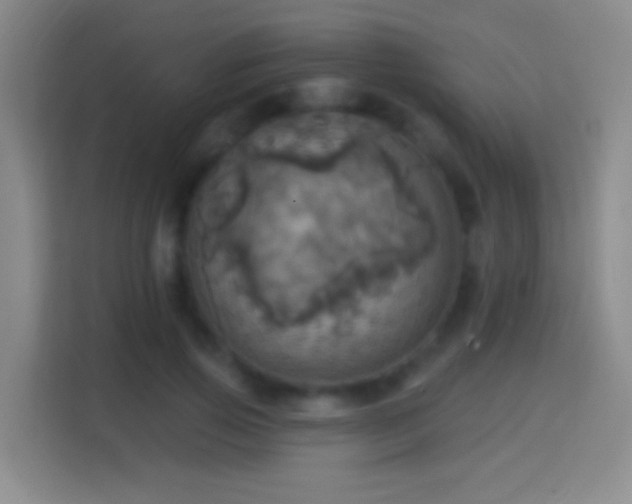 X0000114420741200910231206