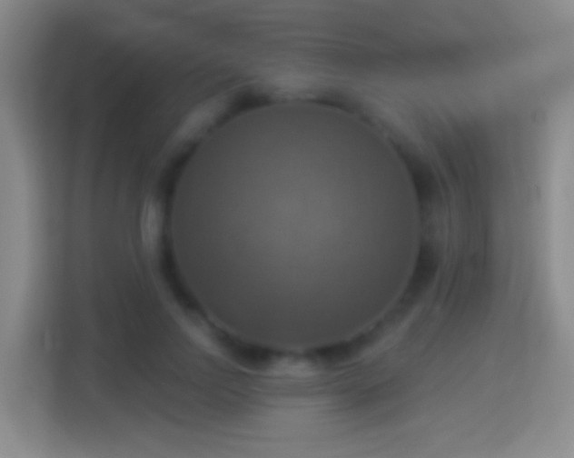 X0000114420742200910231206