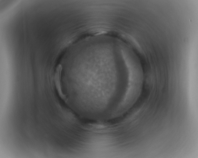 X0000114420743200910231206