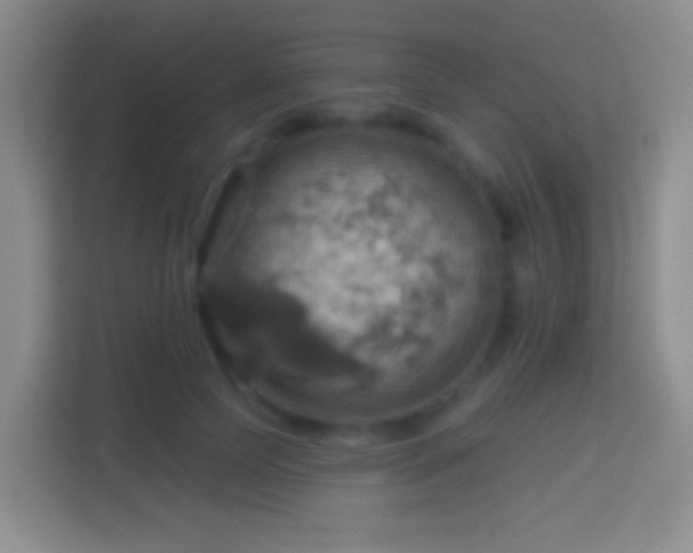 X0000114420745200910231206