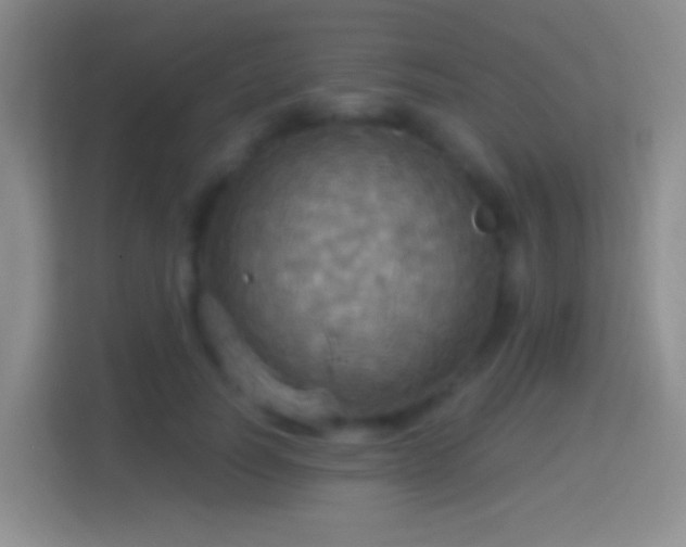 X0000114420746200910231206