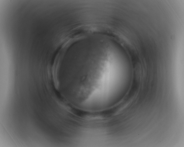 X0000114420747200910231206