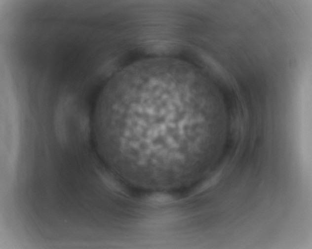 X0000114420749200910231206