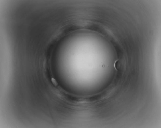 X0000114420750200910231206