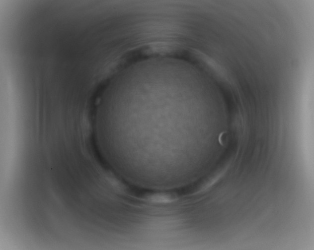 X0000114420751200910231206