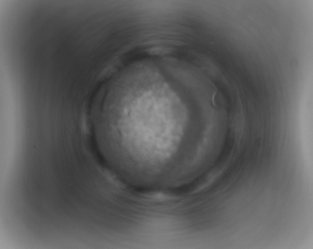 X0000114420755200910231206