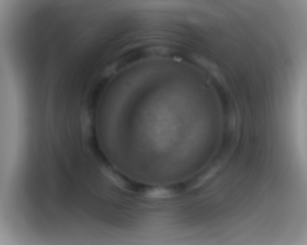 X0000114420759200910231206