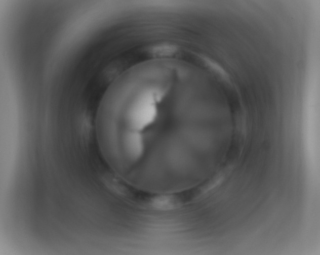 X0000114420761200910231206