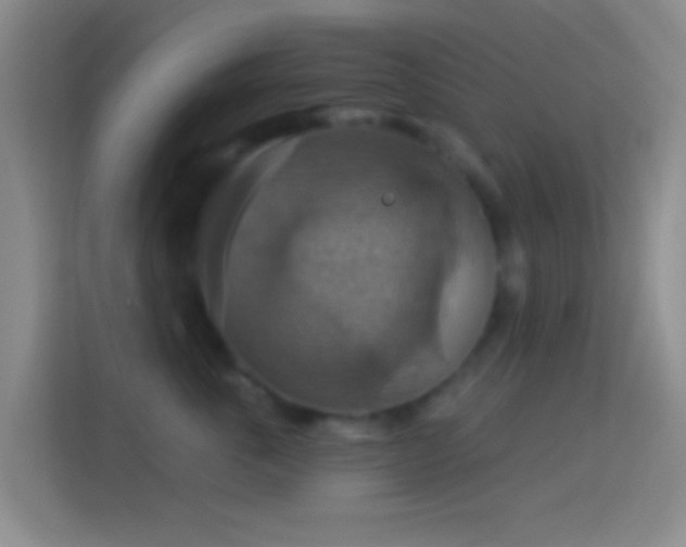 X0000114420763200910231206