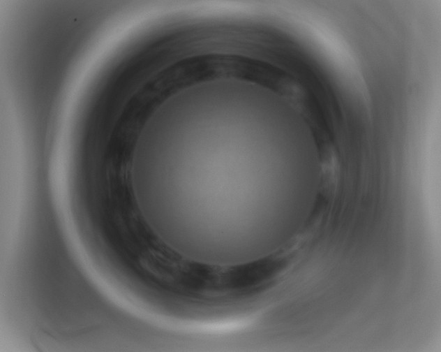 X0000114420765200910231206