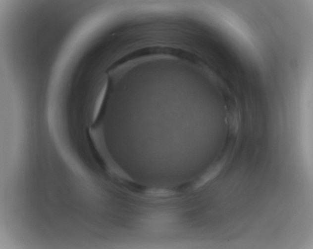 X0000114420766200910231206