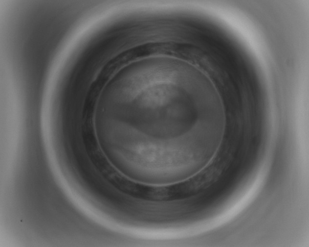 X0000114420767200910231206