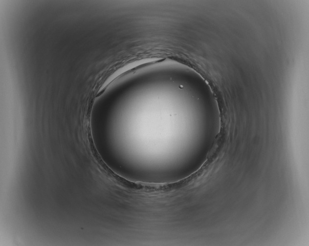 X0000114420769200910231205