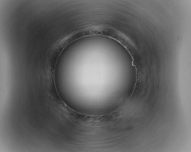 X0000114420773200910231205