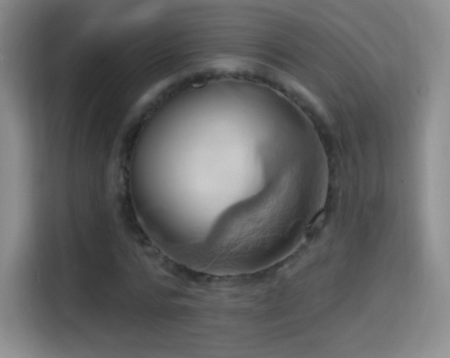 X0000114420776200910231205