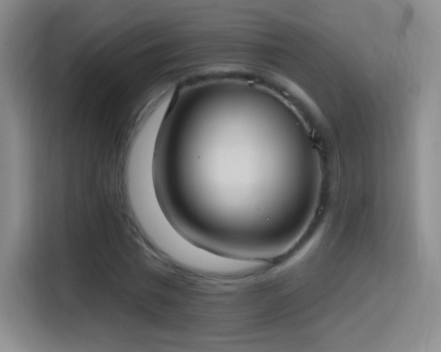 X0000114420777200910231205
