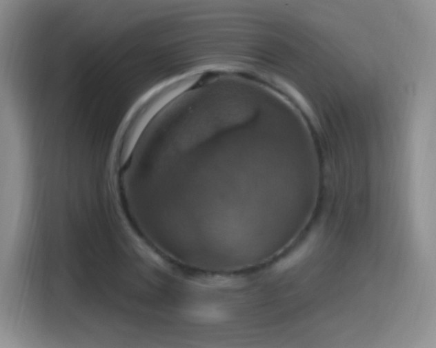 X0000114420779200910231205