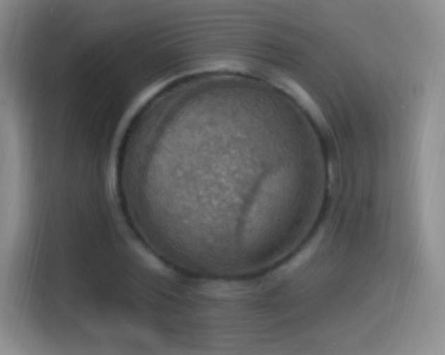 X0000114420780200910231205