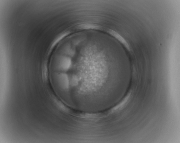 X0000114420782200910231205