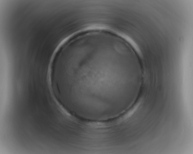 X0000114420783200910231205