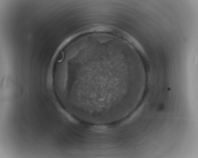 X0000114420784200910231205