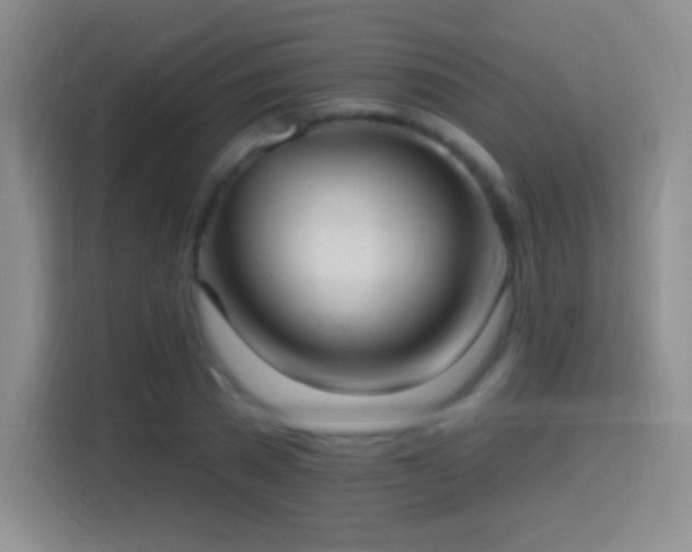 X0000114420785200910231205