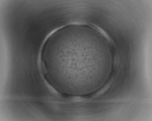 X0000114420787200910231205