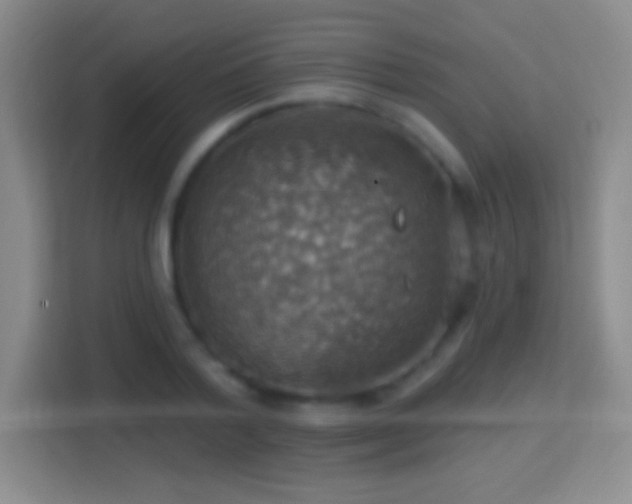 X0000114420788200910231205