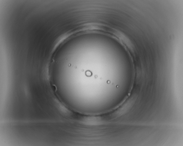 X0000114420789200910231205