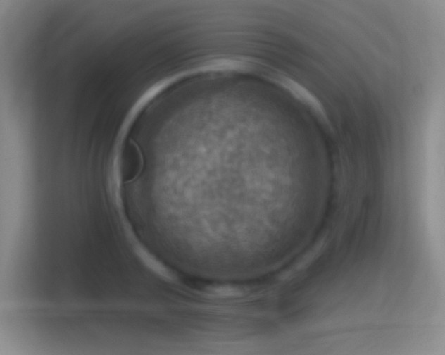 X0000114420792200910231205