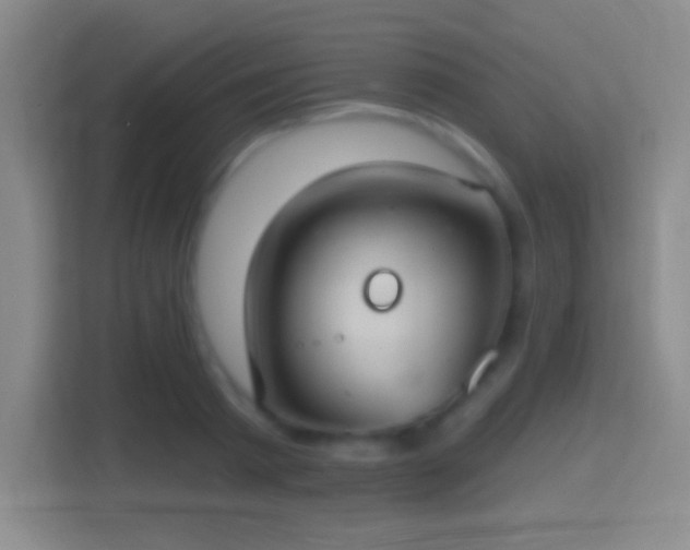 X0000114420793200910231205