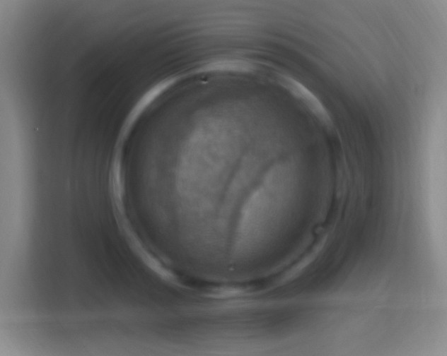 X0000114420796200910231205