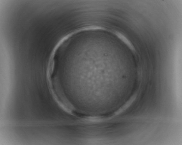 X0000114420797200910231205