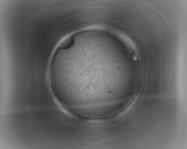 X0000114420800200910231205