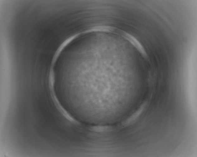 X0000114420804200910231205