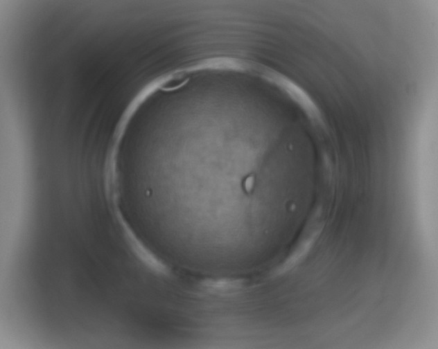 X0000114420808200910231205
